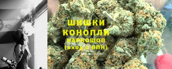 индика Богданович